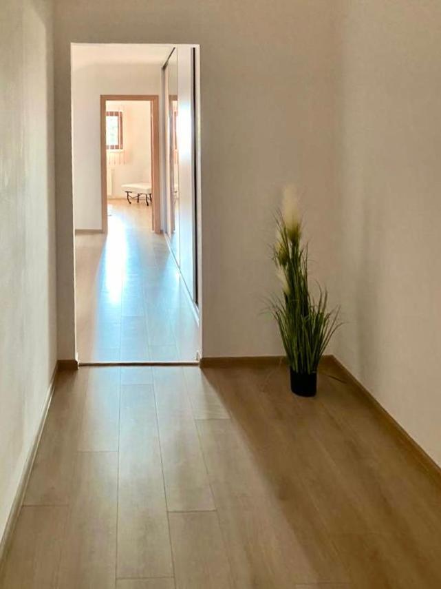 Casa Dima Hotel Constanţa Eksteriør billede